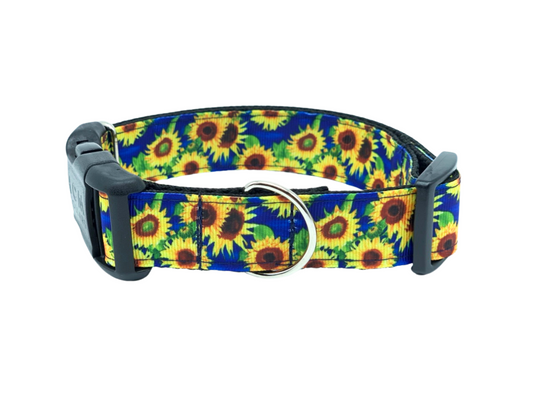 Blue Sunflower Dog Collar