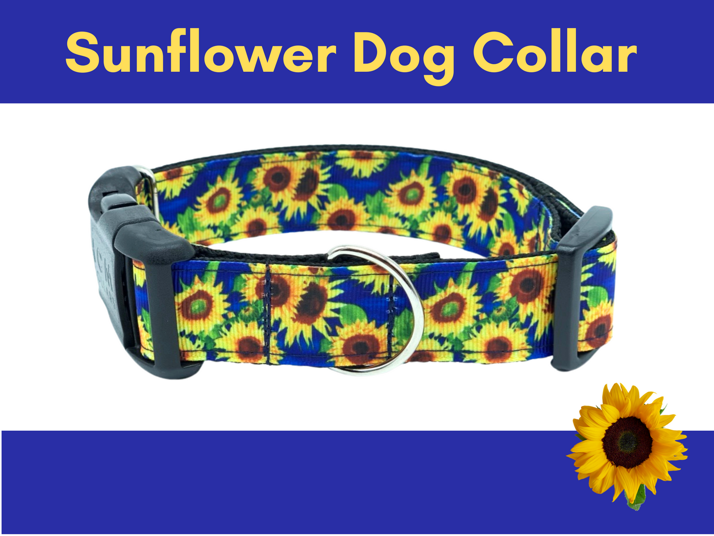 Bright Blue Sunflower Dog Collar