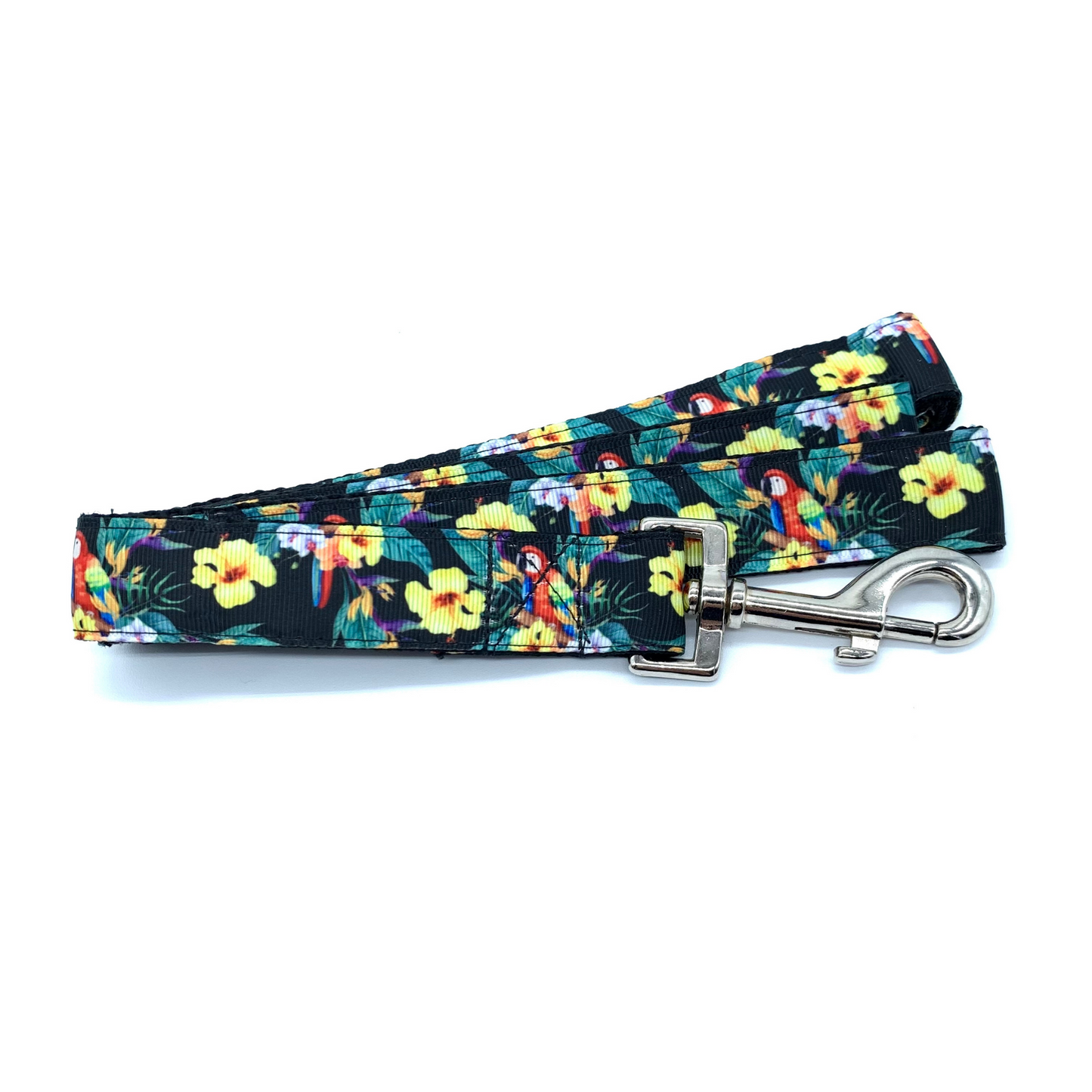 Black Tropical Parrot Print Dog Collar