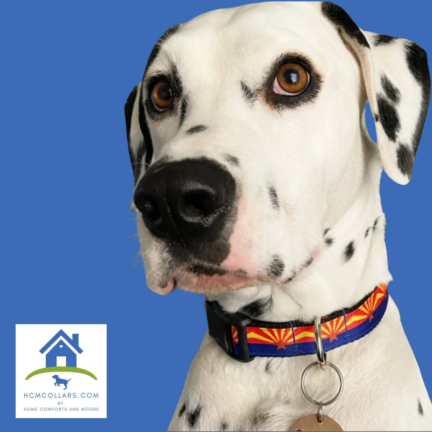 Arizona State Flag Dog Collar