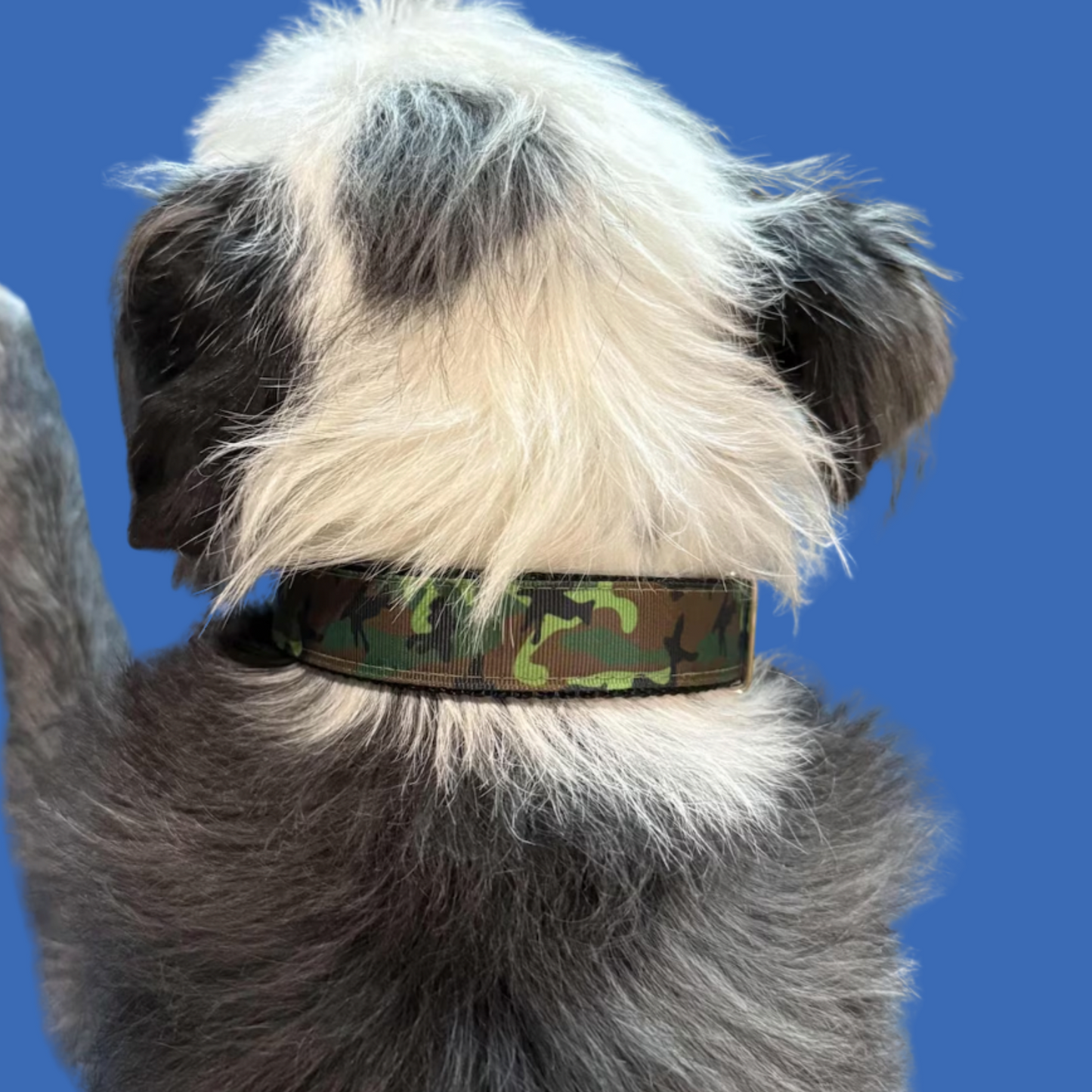 Camo Camouflage Dog Collar