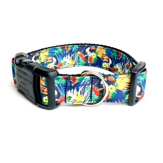 Blue Tropical Toucan Print Dog Collar