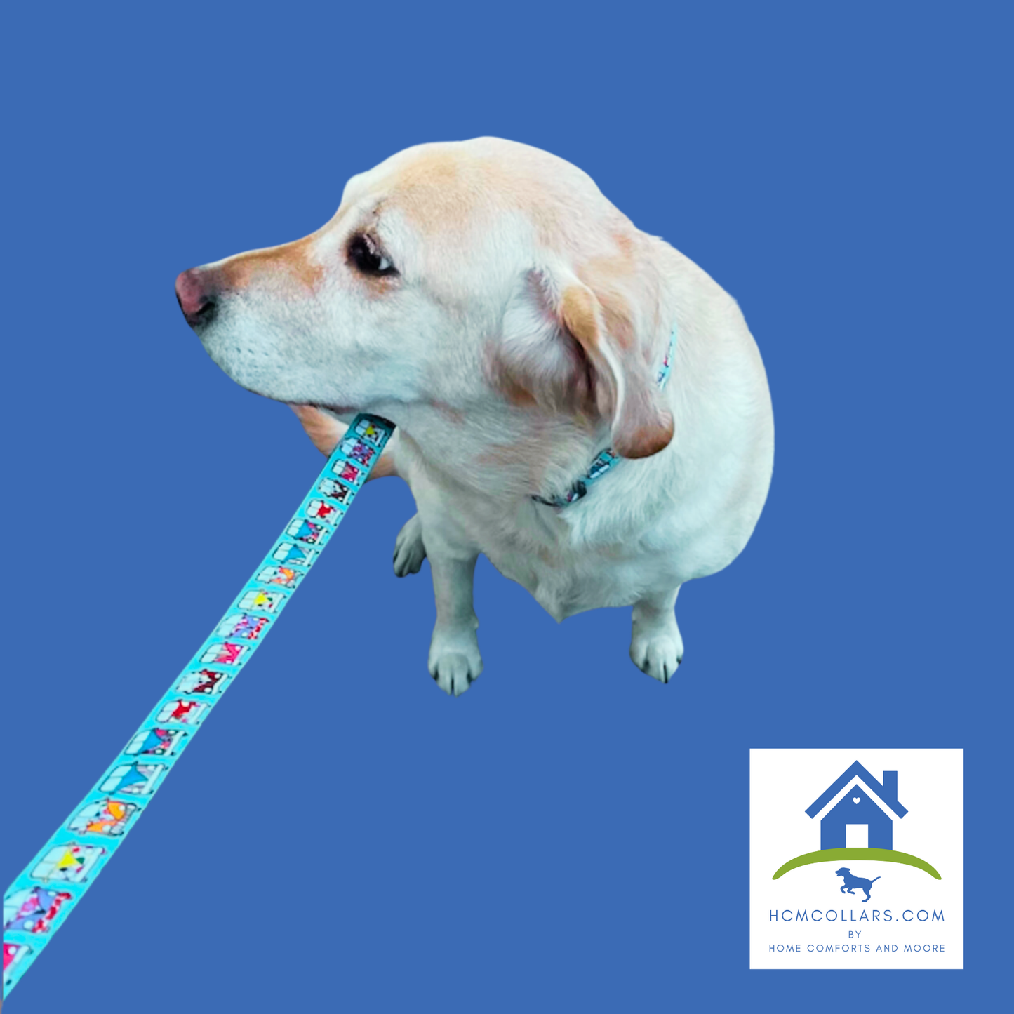 Hippie Van Dog Collar