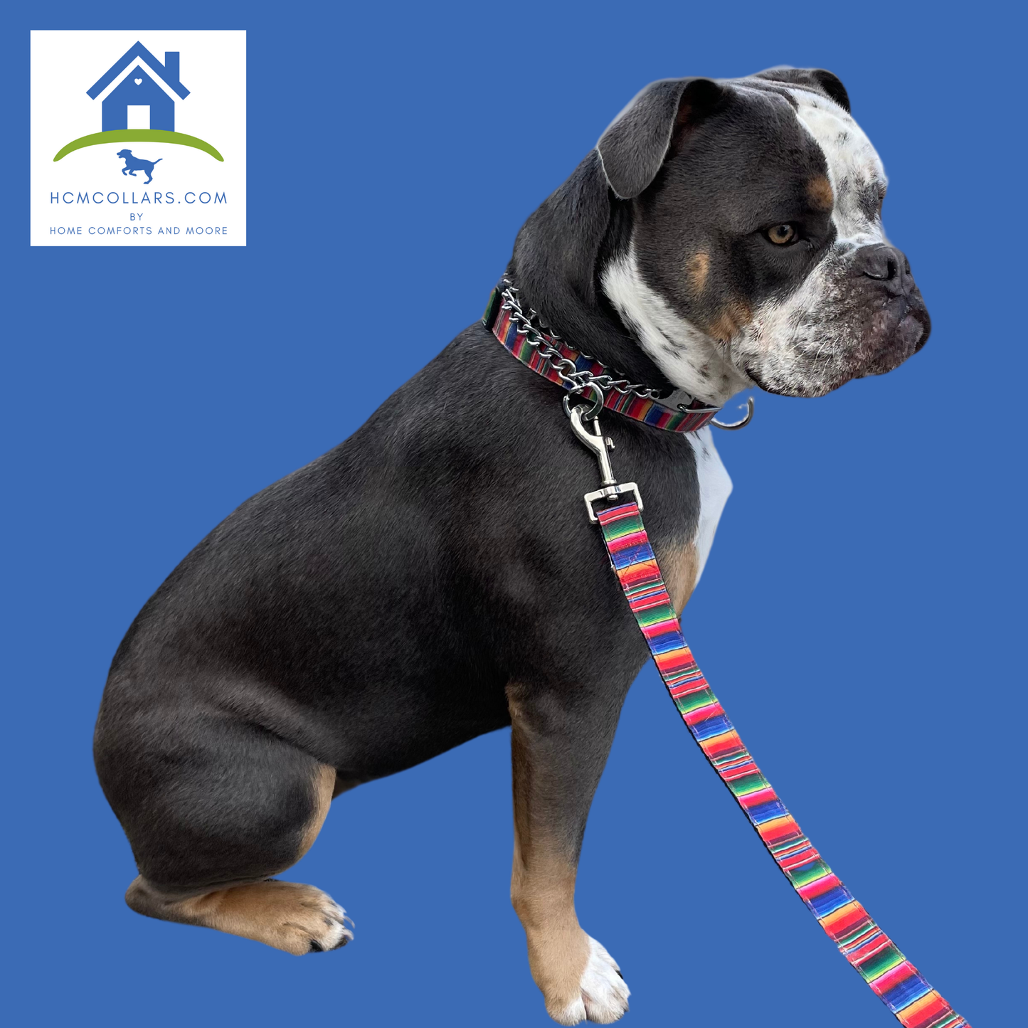 Original Serape Dog Collar