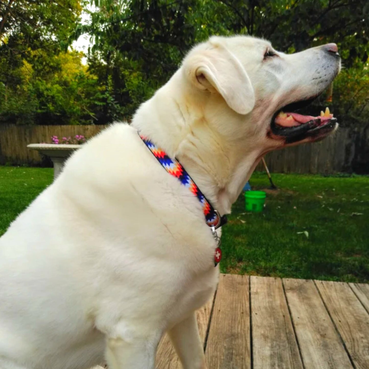 Blue Orange Southwest Tribal Aztec Native Dog Collar