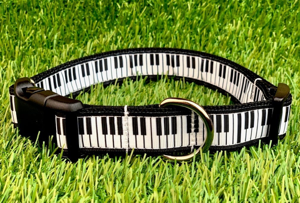 Piano Keys Dog Collar