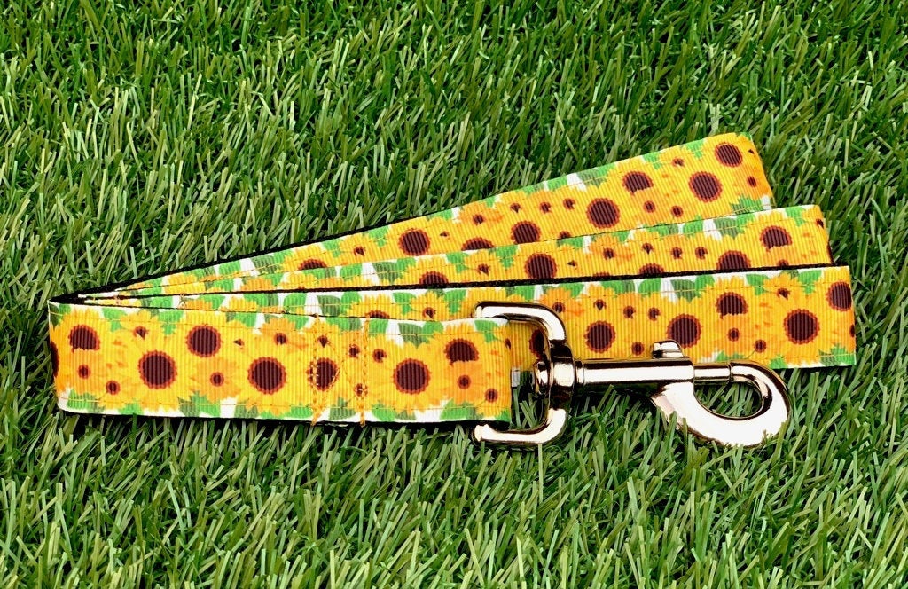 Sunflower Dog Collar