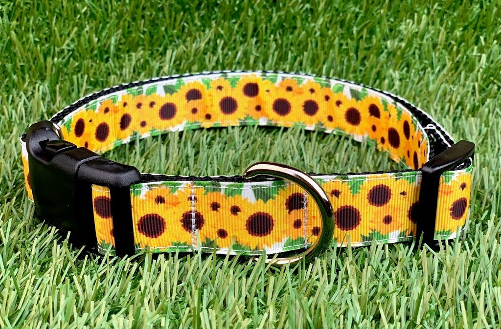 Sunflower Dog Collar