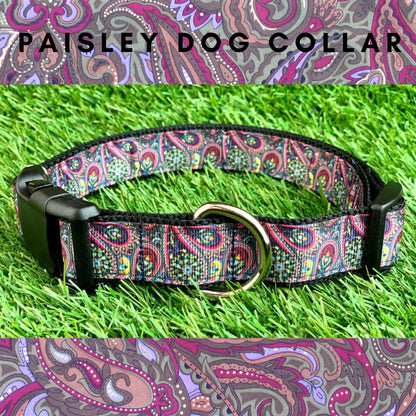 Navy Blue Pink Purple Yellow Green Paisley Dog Collar