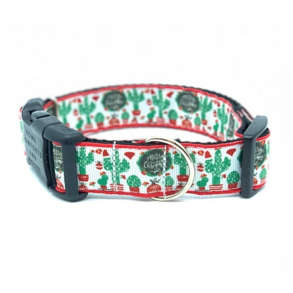 Merry Christmas Dog Collar