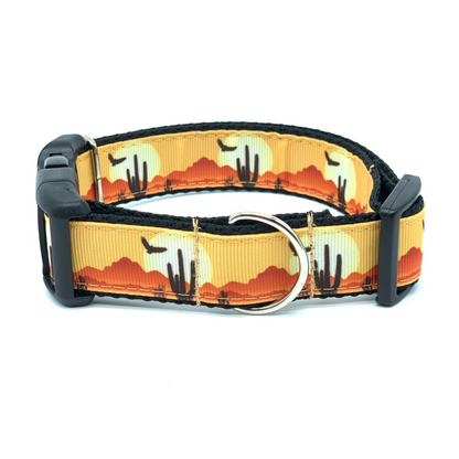 Gold Canyon Dog Collar