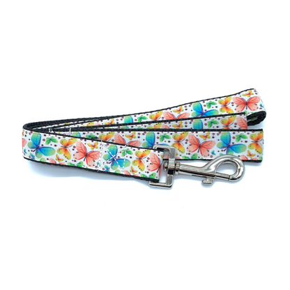 Colorful Butterfly Dog Collar