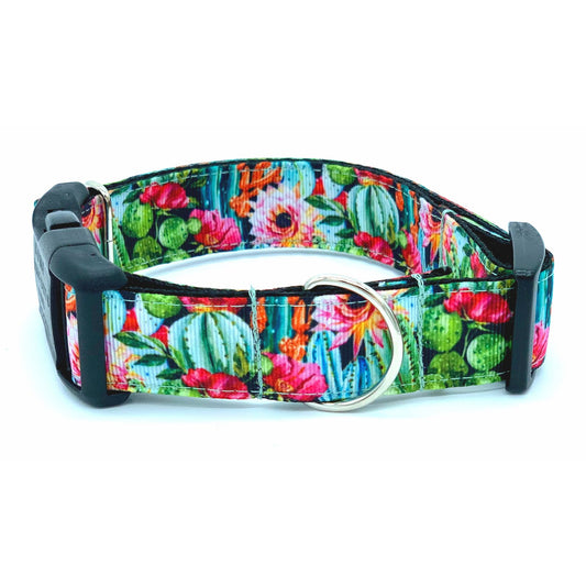 Colorful Cactus Saguaro Dog Collar