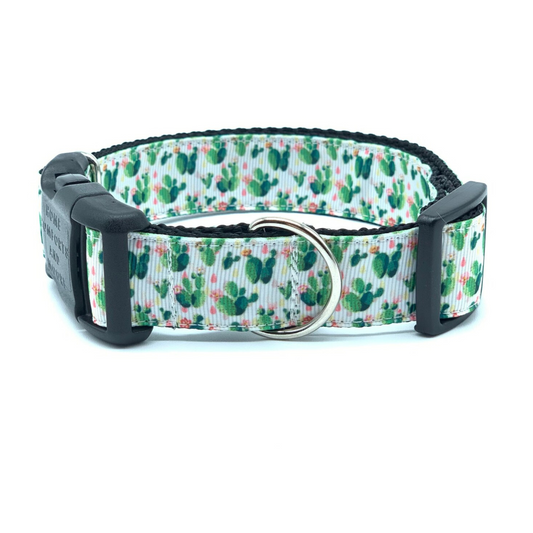 Watercolor Painted Cactus Saguaro Dog Collar