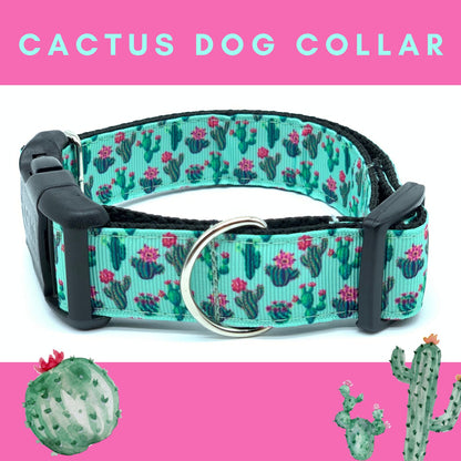 Teal and Pink Cactus Saguaro Dog Collar