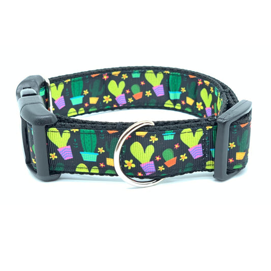 Potted Cactus Saguaro Dog Collar