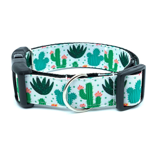 White and Green Dotted Cactus Saguaro Dog Collar