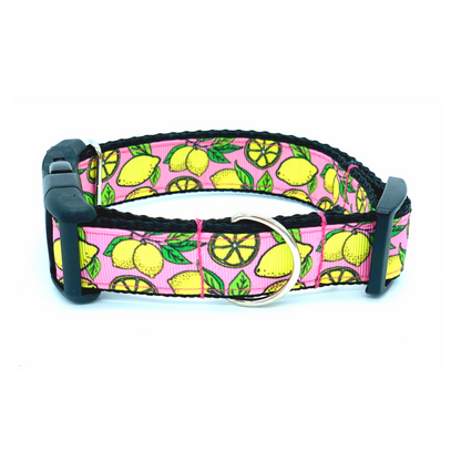 Pink Lemon Dog Collar