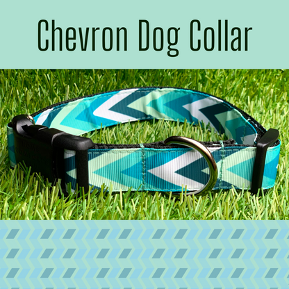 Teal Chevron Dog Collar