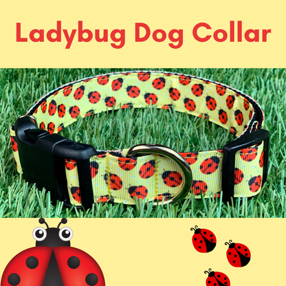 Ladybug Dog Collar