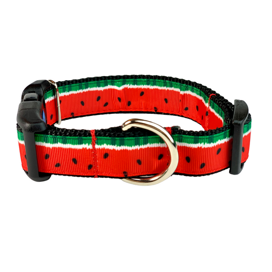 Summertime Watermelon Dog Collar