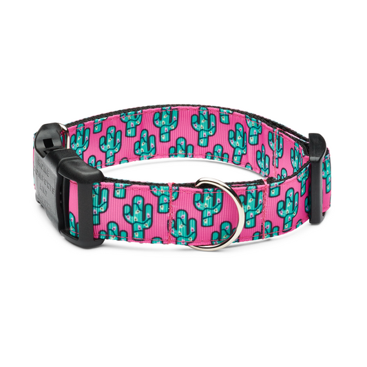 Pink Saguaro Dog Collar