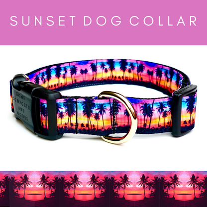 Sunset Dog Collar