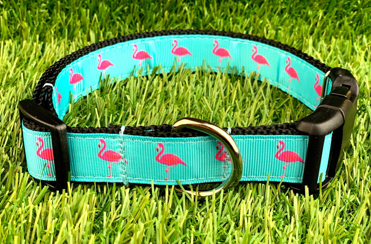Teal Pink Flamingo Dog Collar