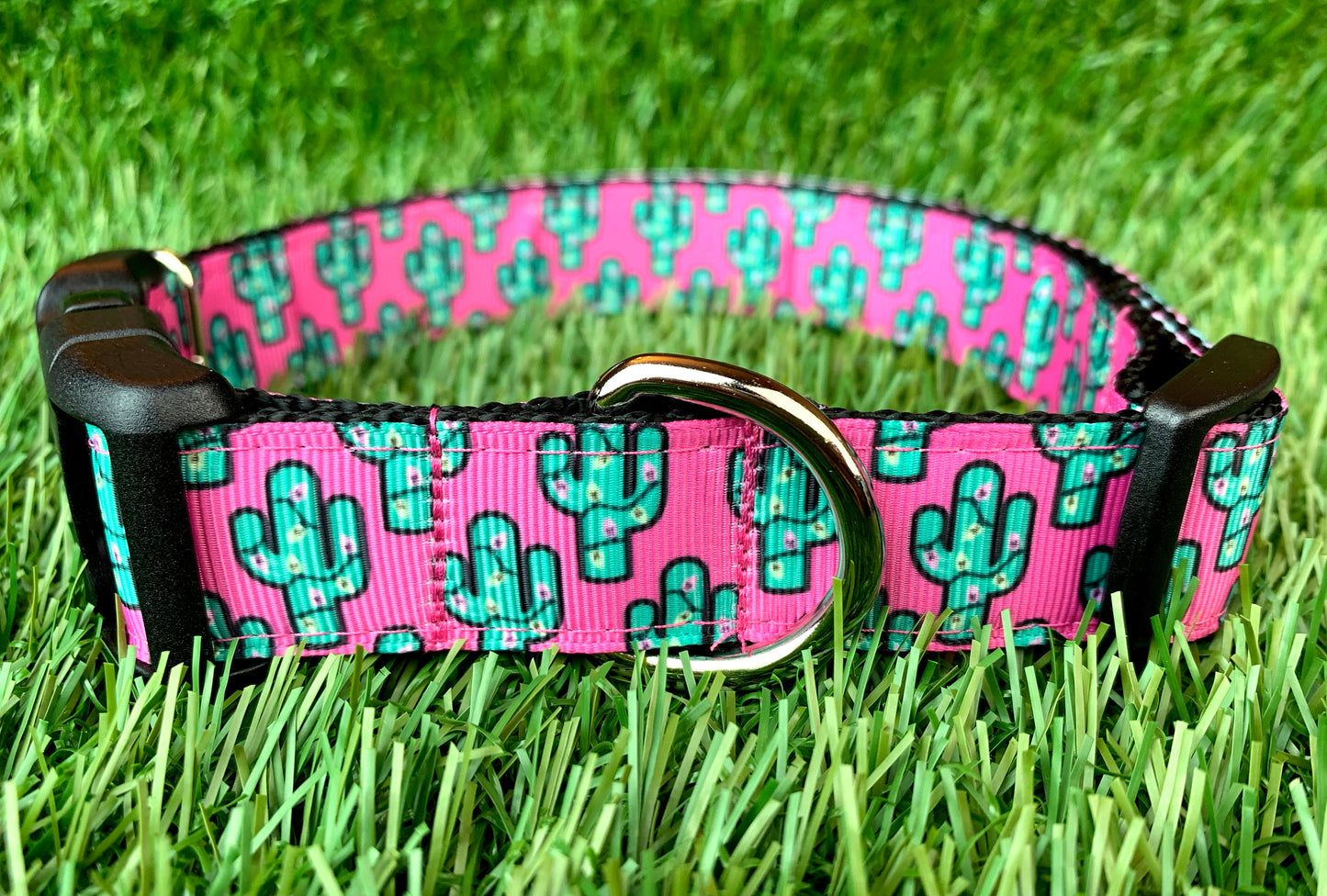 Pink Saguaro Dog Collar