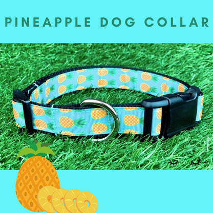 Teal Pineapple Dog Collar