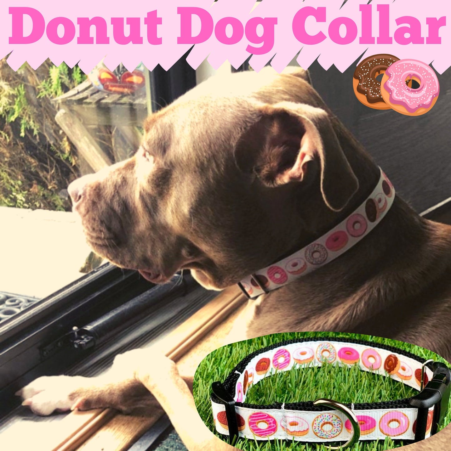 White Sprinkle Donut Dog Collar