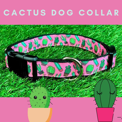 Bright Pink Cactus Dog Collar