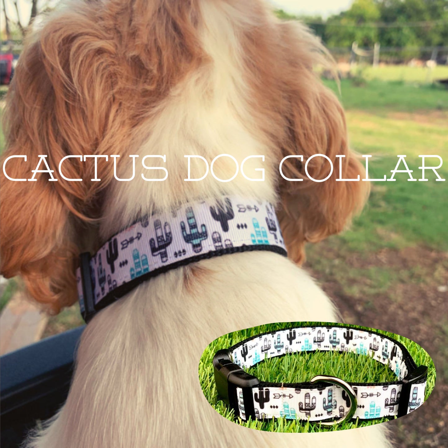 White Black Teal Cactus Saguaro Dog Collar