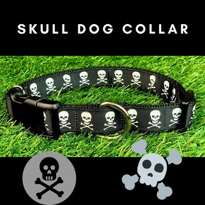 Pirate Skull Jolly Roger Skull and Crossbones Dog Collar